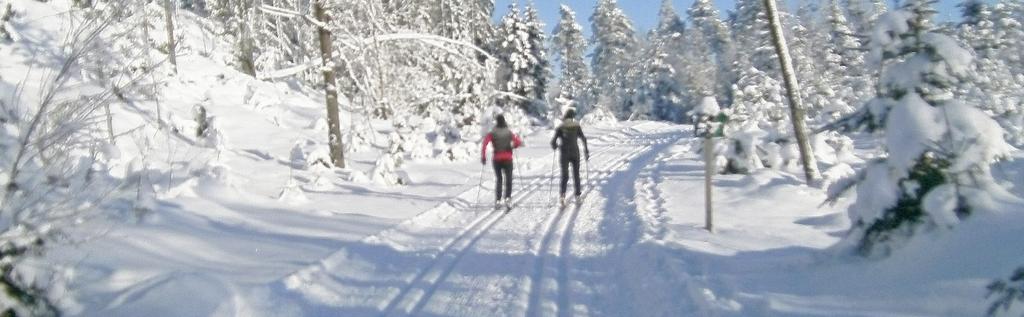 Torsdag LÄNGDSKIDÅKNING FÖR NYBÖRJARE För klass F-6. Kom och prova att åka längdåkningsskidor. För dig som inte har utrustning så finns det ett begränsat antal skidor m.m. att låna.