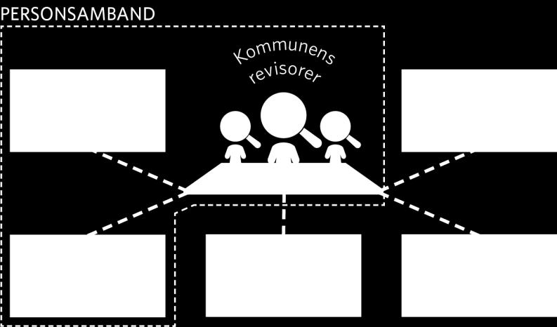 Det möjliggör en granskning av att ägarens/stiftarens/medlemmens avsikt efterlevs, liksom av styrelsens uppsikt.