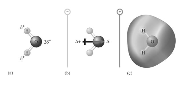 Avsnitt 8.3 Polära bindningar och dipolmoment Dipolmomentet hos vattenmolekylen Avsnitt 8.