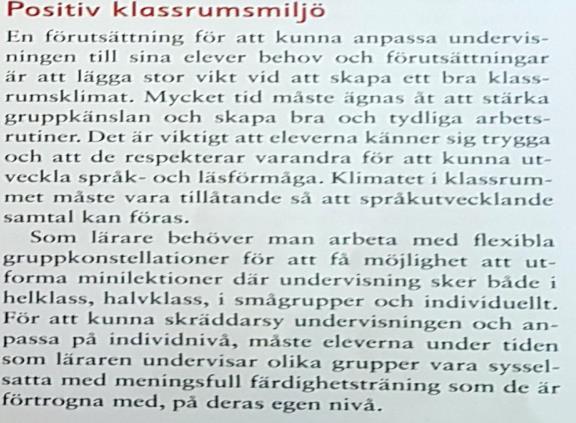 språkutvecklande samtal, automatiserad läsning samt hur språk- och läsförmåga kan synliggöras.