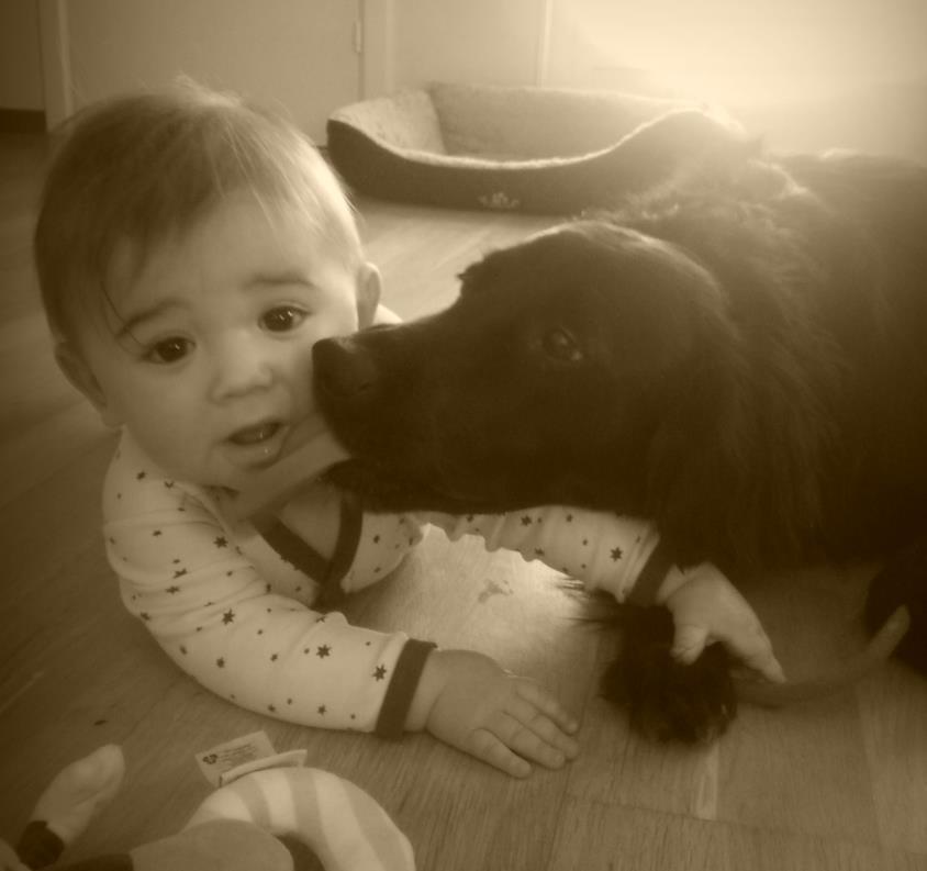Påverkan av mänsklig omvårdnadsstil på hundars reaktion vid en plötslig ljudöverraskning Influence of human caregiving -style on dogs reaction to a sudden noise Malin Engström Uppsala 2018 Etologi