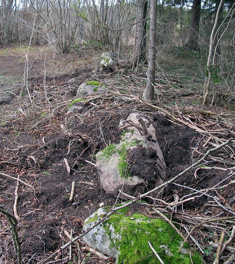 Tolkning De spår av odling som finns i norra delen och södra delen härrör från odling från tiden före 1876, sannolikt upptagna under loppet av 1800-talet.