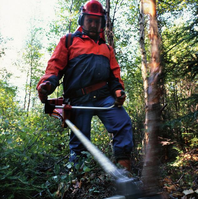 planka en serie med tankar för