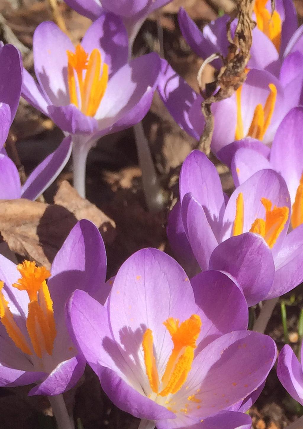 April forts. 10 Tisd 09.00 Ekumenisk bön i Svenska Kyrkan 12 Torsd 14:30 Andakt på Mariagården 14 Lörd 08.