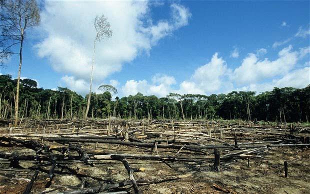 utrotning (IUCN) Brukad jord b Betesdrift a)