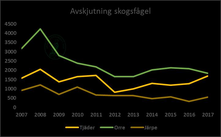 Avskjutning skogsfågel Avskjutningen av tjäder och orre ökar sedan