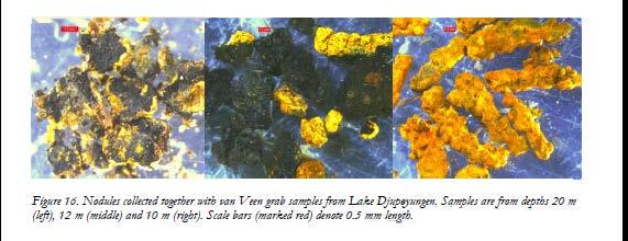 Framtida forskningsbehov Oönskade effekter av kalkning på metallnoduler i sediment/vatten gränssnittet?