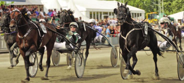 Ljusbrun MAGNUS JAKOBSSONS LOPP Klass I ca kl :0 Kategori A högst.000 pp, köra av AB eller C licensinnehavare. 0 m. Tillägg 0 m vi vunna.00 pp, 0 m vi.00 pp, 0 m vi.900 pp, 0 m vi.00 pp, 00 m vi.