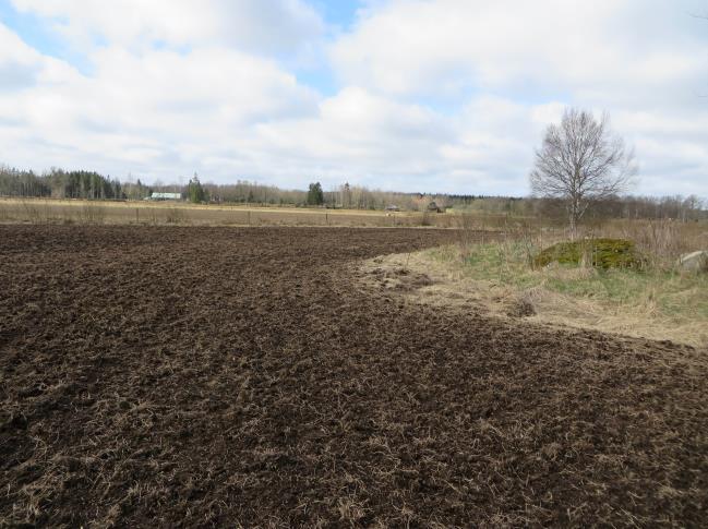 Den gamla vägen mot mossodlingen har