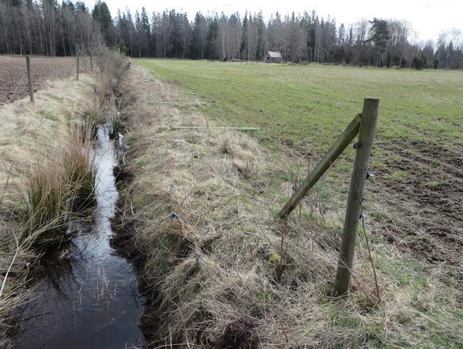 Mossodlingarna blev verklighet i början av 1900-talet tack vare