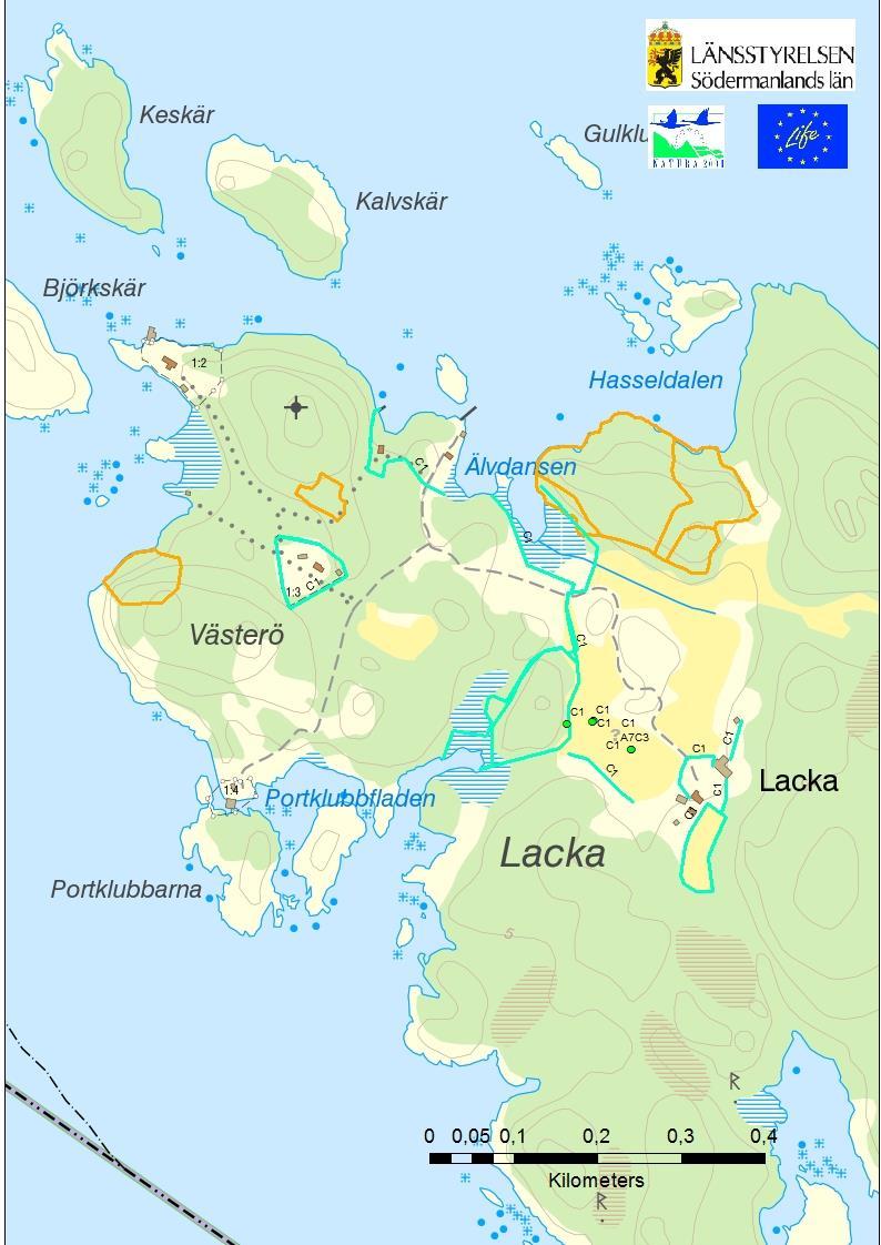 Karta över projektets åtgärder på Lacka. Blå linjer är nedmontering av gammalt stängsel och uppsättning av nytt elstängsel.