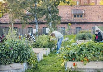 Hallå stockholmare november 2018 Herrträff på Tanto aktivitetscenter Den 28 november klockan 14.00 är det dags för herrträff på Tanto aktivitetscenter, Rosenlundsgatan 44a.