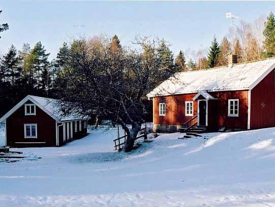 tomtegröt efter