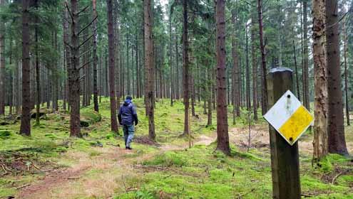 Efter ca: 200 meter kom jag fram till ett stigskilje, där visade en pil att jag skulle välja stigen till höger. Det fanns även en markering några meter in på stigen, se bilden ovan.