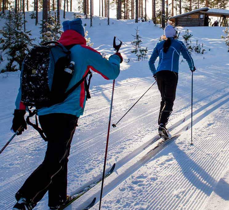 Skidträning inför skidsäsongen Längdskidåkning är en idrott som ger bra och skonsam träning för hela kroppen.