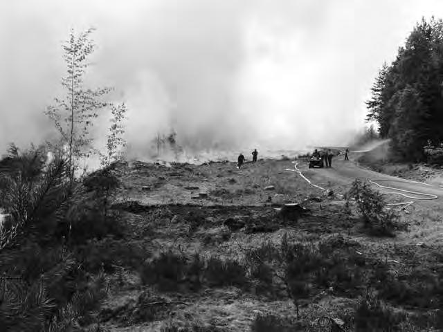 Naturvårdsbränningen vid Syss- Den 25 maj 2004 genomfördes naturvårdsbränningen vid Syssfall.