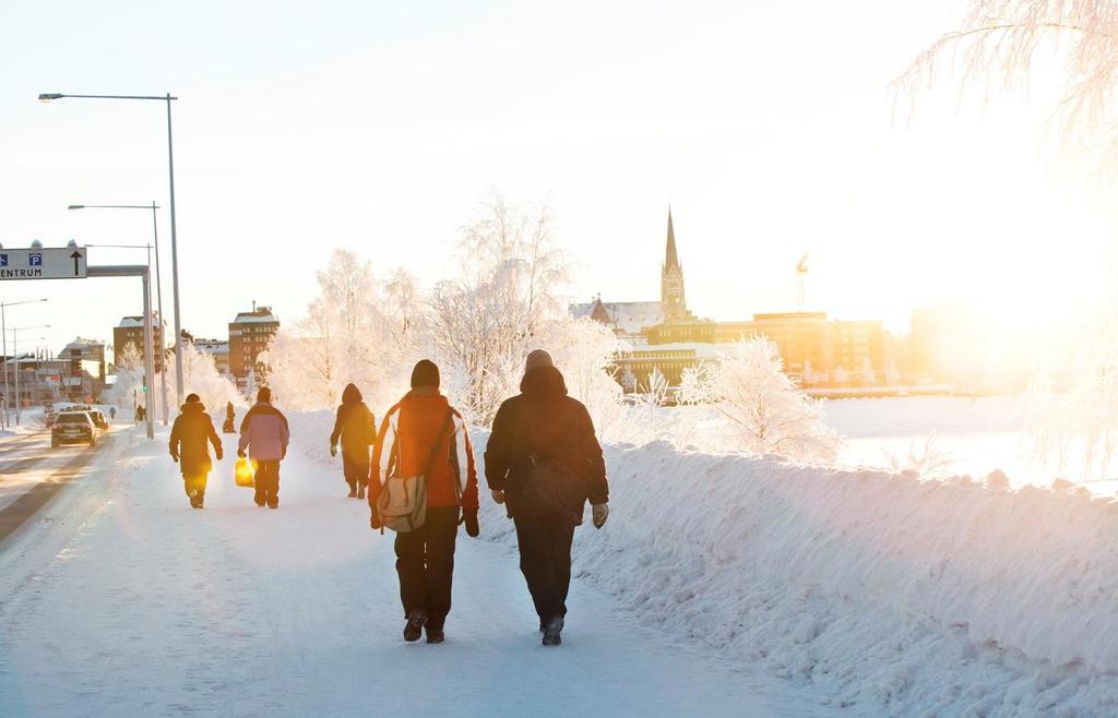 Inledning Som en del i arbetet med att förbättra trafiksäkerheten sammanställer Luleå kommun varje år statistik över det antal personer som skadats eller omkommit i en trafikolycka.