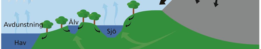 Endast januari, oktober och november hade något lägre medeltemperaturer jämfört med normalt (Figur 3). I september var månadsmedeltemperaturen 14,8 C, vilket var 3,5 C högre än normalt.