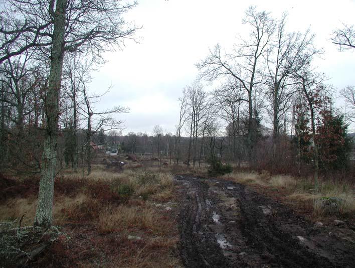 Utredningens genomförande Våren 2004 genomförde Blekinge museum en översiktlig fältinventering inom utredningsområdet varvid fem större och mindre områden bedömdes vara särskilt viktiga att undersöka