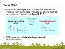 PEth - fosfatidyletanol En abnorm fosfolipid som endast bildas i närvaro av etanol Fosfatidylkolin finns i alla cellmembran och metaboliseras normalt av fosfolipas D till fosfatidsyra Vid