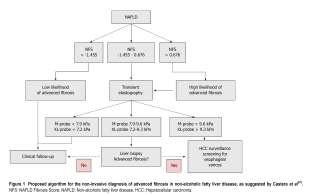 NFS NAFLD Fibrosis Score -1.675 + 0.037 x age (yrs) + 0.094 x BMI (kg/m 2 ) +1.13 x impaired fasting glucose/diabetes (yes = 1, no = 0) + 0.99 x AST/ALT ratio 0.013 x platelet count (x10 9 /L) 0.