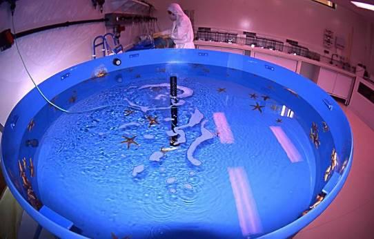 IAEA, Environment Laboratories International Atomic Energy Agency (IAEA) har utöver sitt välkända huvudkontor i Wien även laboratorier med fokus på miljöövervakning, bl.a. i Monaco där vårt första studiebesök i utlandet landade.