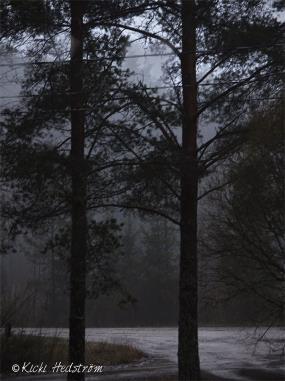 Mörker på jorden, kallast i orden, sommarens fåglar har åter flytt. Grå är dagen och svart är natten, som tysta skogar med fruset vatten.