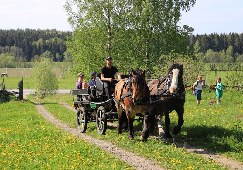 Naturcentrum på Södertälje kommun och lokala föreningar informerar och har roliga aktiviteter för hela familjen.