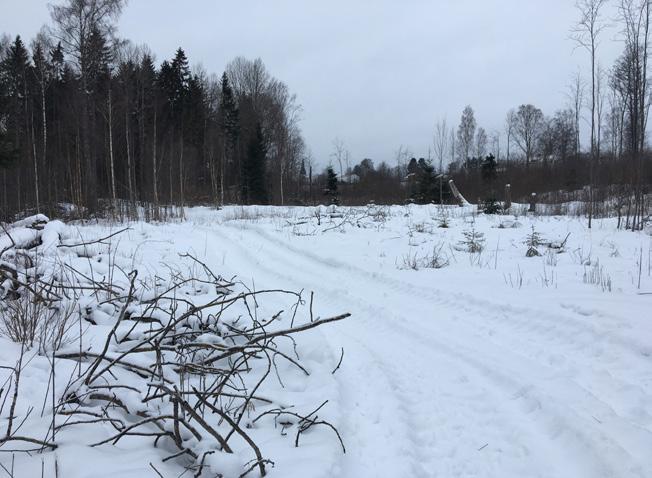 3. PLATSBESÖK, BEDÖMNINGAR & KONSEKVENSER PLATSBESÖK SÖDRA HANNÄS Under platsbesök den 6 mars 2018 obsererades områdets förutsättningar.