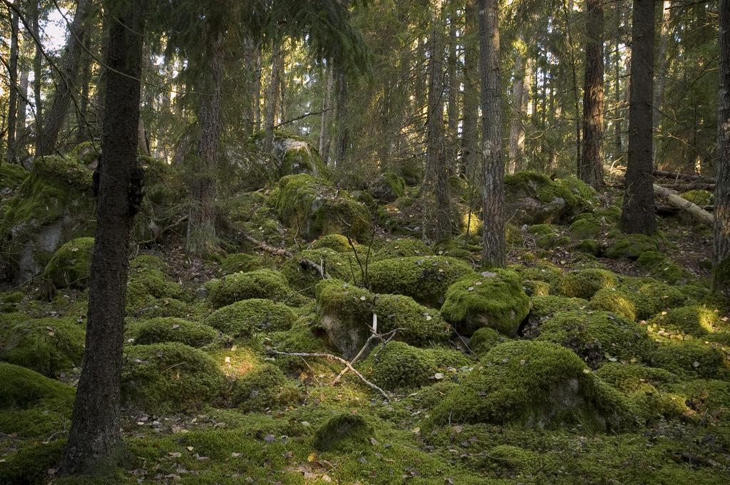 lanseringen av den nya Utflyktsguiden om naturen i Södertälje.