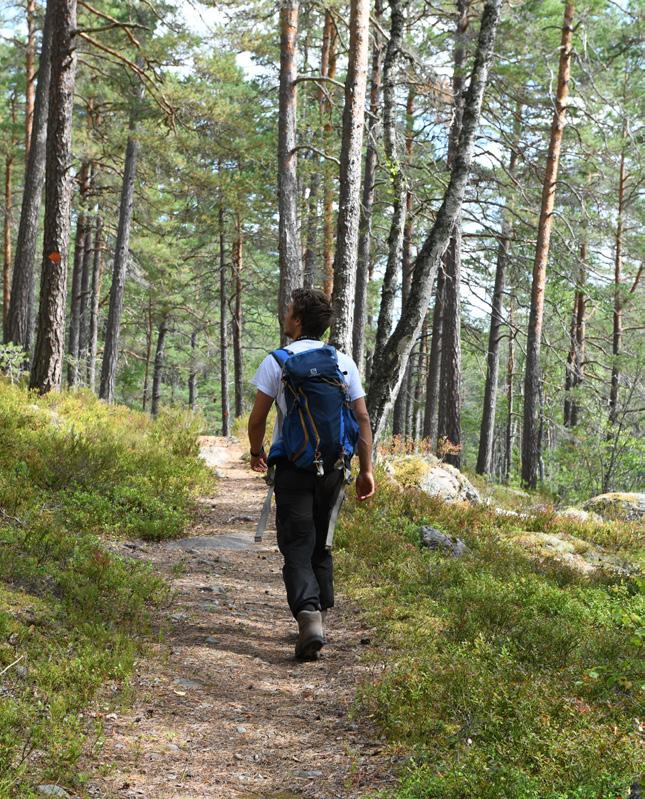 När mörkret sänker sig över skogen vaknar ugglorna och många andra djur Ta med barnen på en spännande kvällsvandring,