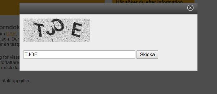 För att komma till söksidan måste du skriva in koden som visas.