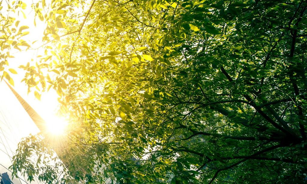 TRADITIONELL LÖSNING DYNAMISKA GLAS Isolerglasfönster + Exteriörtsolskydd + ev yttre enkelglas-skal Underhållskostnader Fungerar ej på höga höjder Isolerglasfönster Inga underhållskostnader Alla