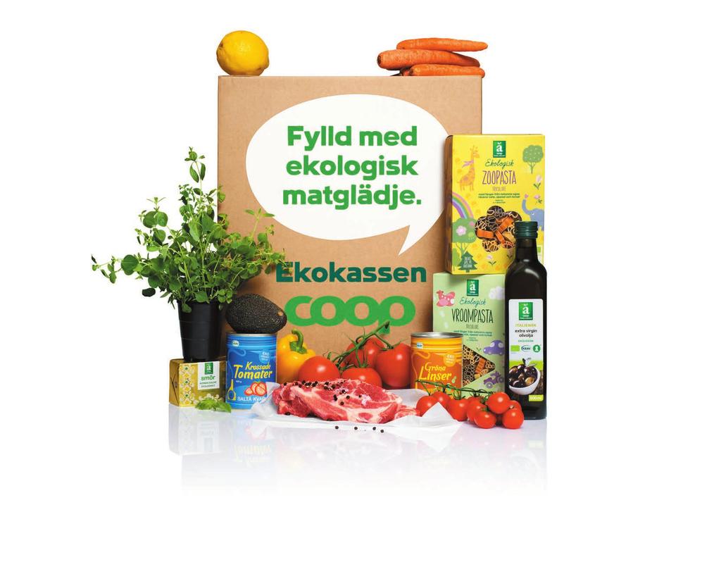 Vecka 11 Laxpudding med kallrökt lax