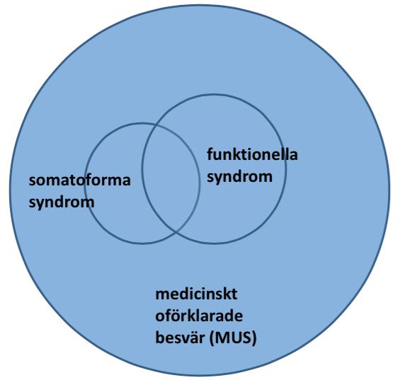 Psykosomatik = Psykiska funktioner påverkas av och påverkar nästan alla av kroppens friska och sjukliga funktioner.