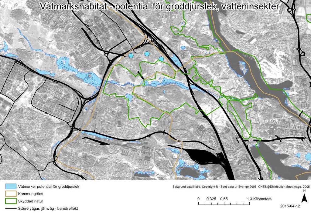 0 0.5 1.0 kilometer Figur 6: Utsnitt från karta över Våtmarkshabitat. Utredningsområdet är avgränsat i norr av väg (svart) och i söder av reservatgränsen (grönt).