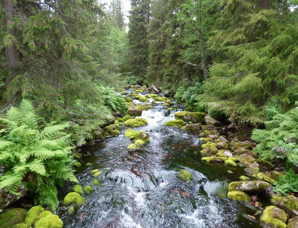 Rådgivningsprojekt för bättre hänsyn till