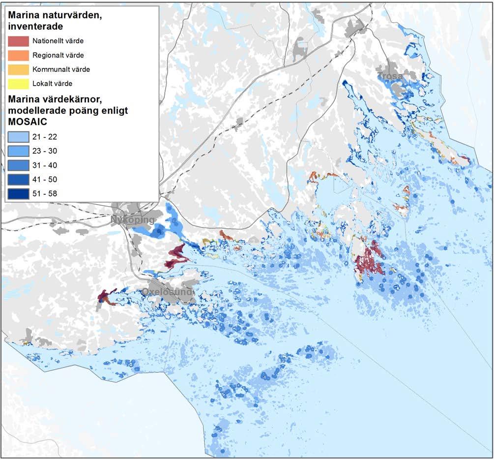 8 HAV I BALANS SAMT LEVANDE KUST OCH SKÄRGÅRD Modellering av marina naturvärden Då endast begränsade delar av länets marina miljöer har inventerats, har Länsstyrelsen med hjälp av modellering försökt