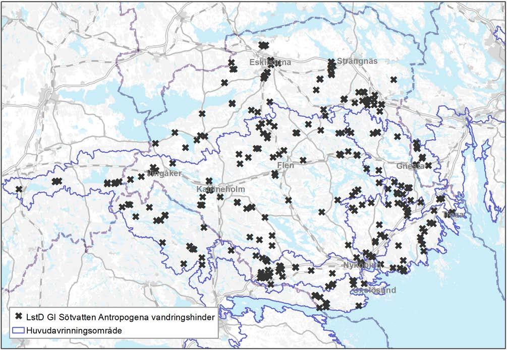 9 LEVANDE SJÖAR OCH VATTENDRAG Vandringshinder Vandringshinder är den första påverkan som många tänker på när man pratar om infrastruktur i vattenmiljöer då dammar och andra vandringshinder stoppar