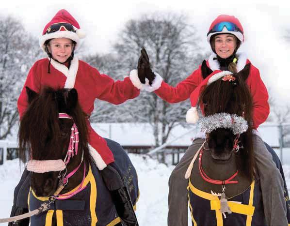 JULMARKNAD PÅ BRO PARK NR SÖNDAG