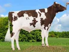 Atomic PP Stmb nr 528 Kod nr 9-7809 F: Apoll P M: Royalty GP-84 Bretagne Stmb nr 279 Kod nr 9-7640 F: Brekem M: Bosside Appl Demetra VG 85 MF: Fageno MM: Romy P VG-87 EX- MF: Dakker MM: MS D Apple