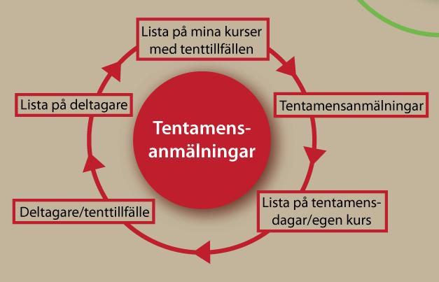 Tentamensanmälningar: listor på kurser, deltagare och e-postadresser Den här guiden beskriver vilken nytta en lärare kan ha av att använda sig av elektronisk tentamensanmälan samt personalens rutiner