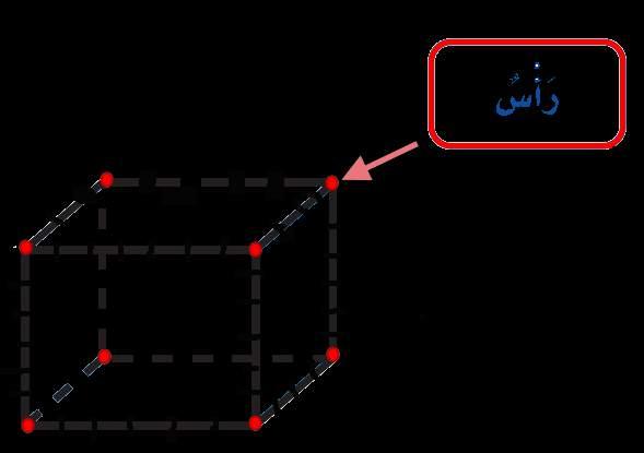 الر أ س