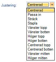 Bildjustering Valet Passa in placerar bilden i symbolen och behåller bildens förhållande mellan höjd och bredd.