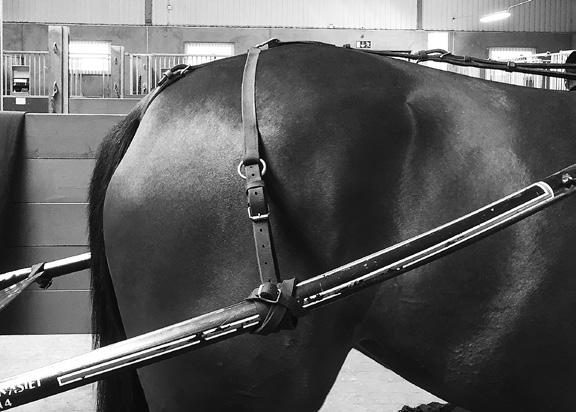 Övrigt En slaggjord är en rem som går över hästens bakdel och som fästs i skalmarna. Den hindrar hästen från att höja bakdelen och slå bakåt.