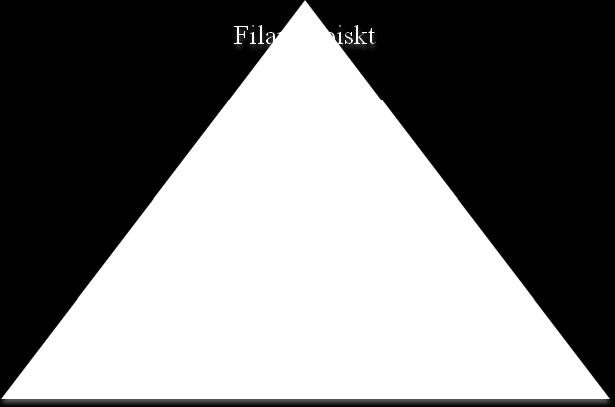 finna olikheter och likheter i val av inriktning. För att förklara samspelet med företagets intressenter och hur de påverkar företags inriktning inom samhällsansvar används intressentteorin.
