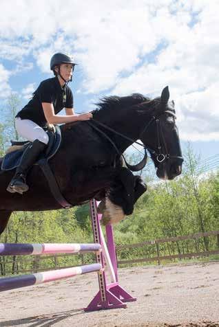 Hos oss får du en bred utbildning och lär dig hantera och sköta hästar på ett säkert och ansvarsfullt sätt. Du utbildas på välskolade hästar av kunniga rid-och körlärare.