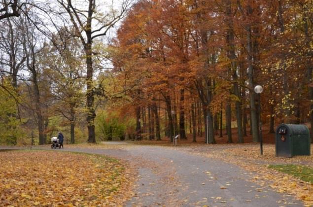 ställen av Statligt byggnadsminne. Snabbcykelvägen passerar även naturreservatet Ulriksdal och genom naturreservatet Igelbäcken samt riksintresse för kulturmiljövården (Solna AB 37).