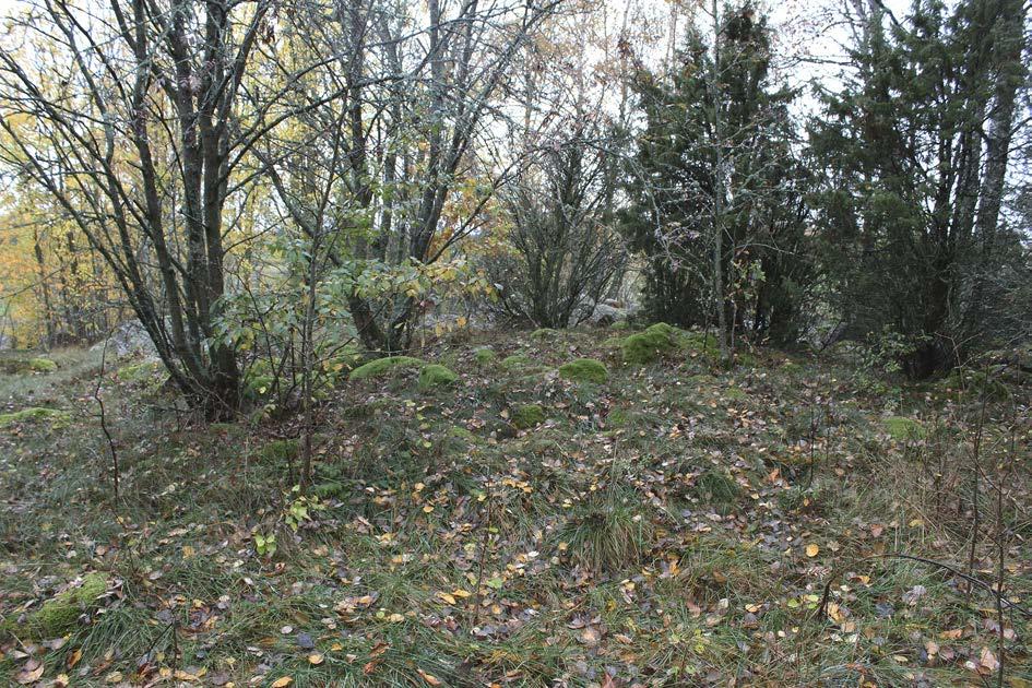 Törnevalla 284:2 - Fornlämningsliknande lämning Den fornlämningsliknande lämningen Törnevalla 284:2 var ca 3 meter i diameter och kraftigt övertorvad med endast ställvis synliga stenar.