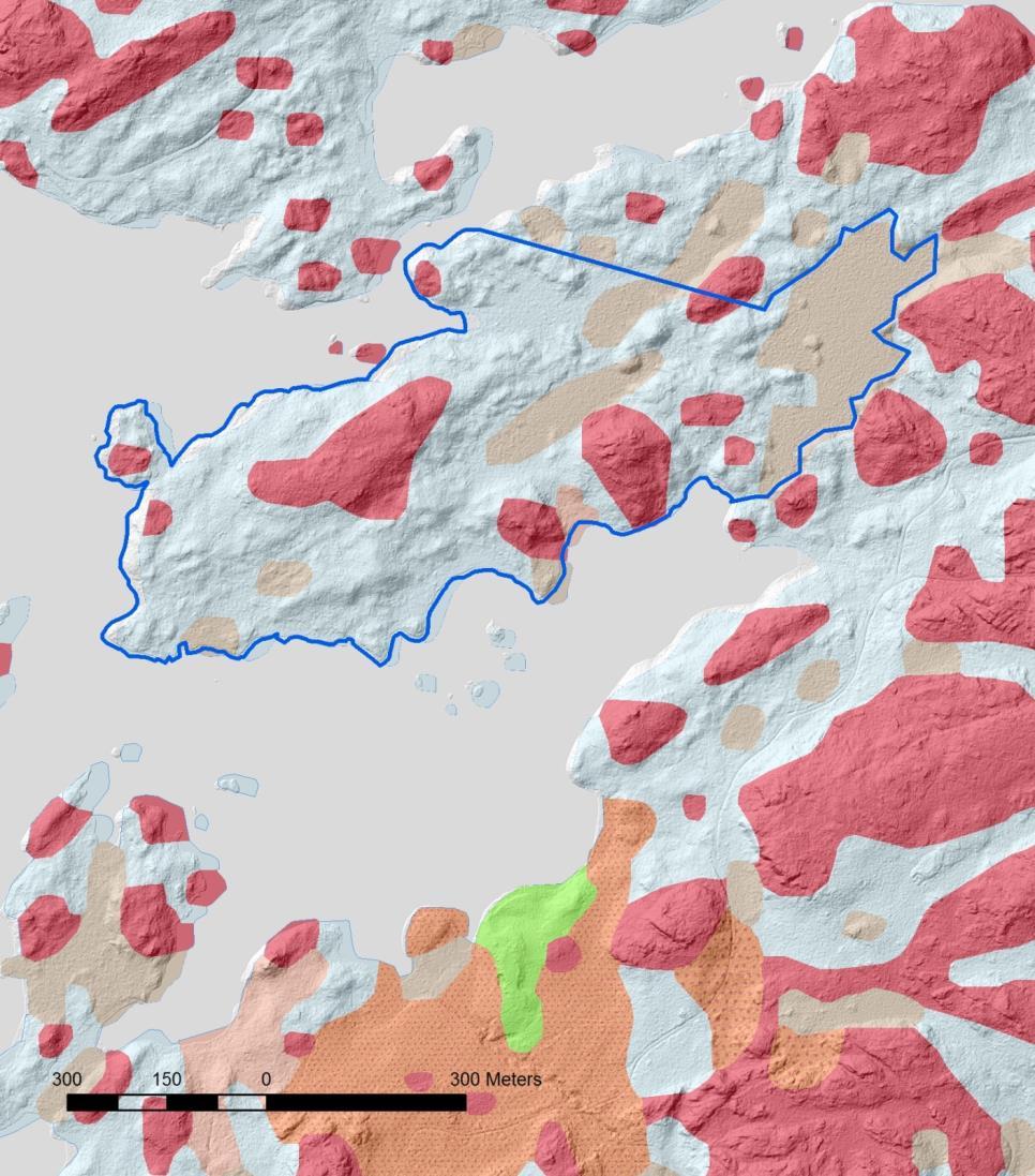 Karta 4. SGU, digitala jordartskartan 1:50 000. Större delen av näset täcks av morän (ljusblått). Mindre torvmarker (grå-beige) visar var sumpskogar är belägna.